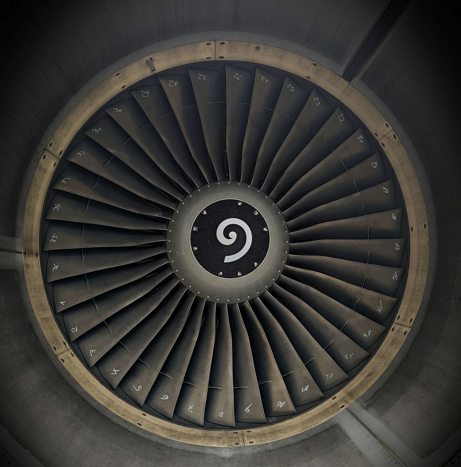 Looking straight into a turbofan engine at the fan blades and spinner